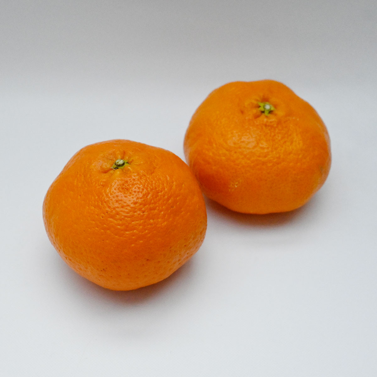 甘平・愛媛産（化粧箱入り）10玉前後