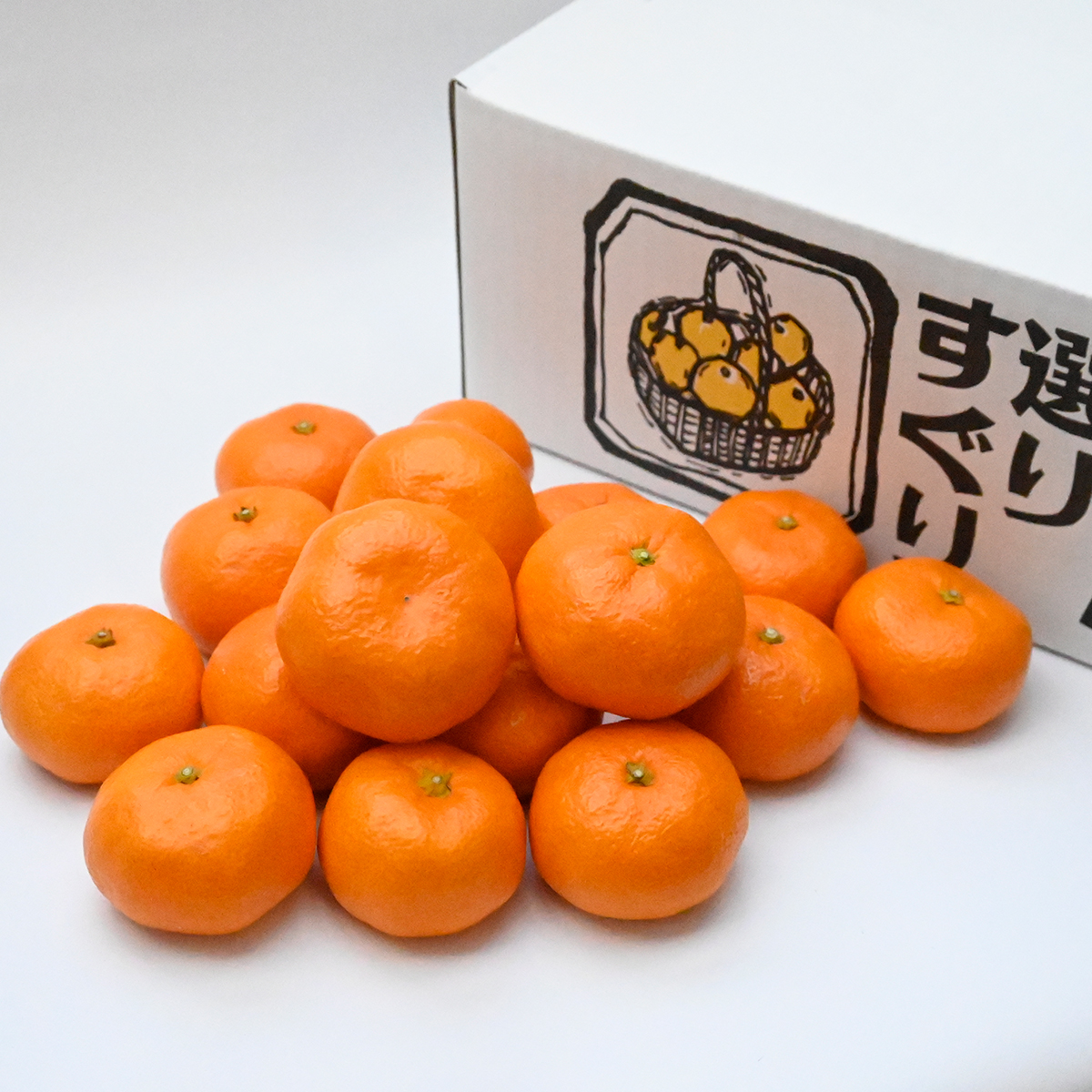 青島みかん（三ヶ日みかん）10kg